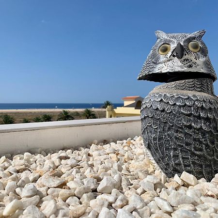Vivienda Gorrion Lägenhet Morro Jable  Exteriör bild